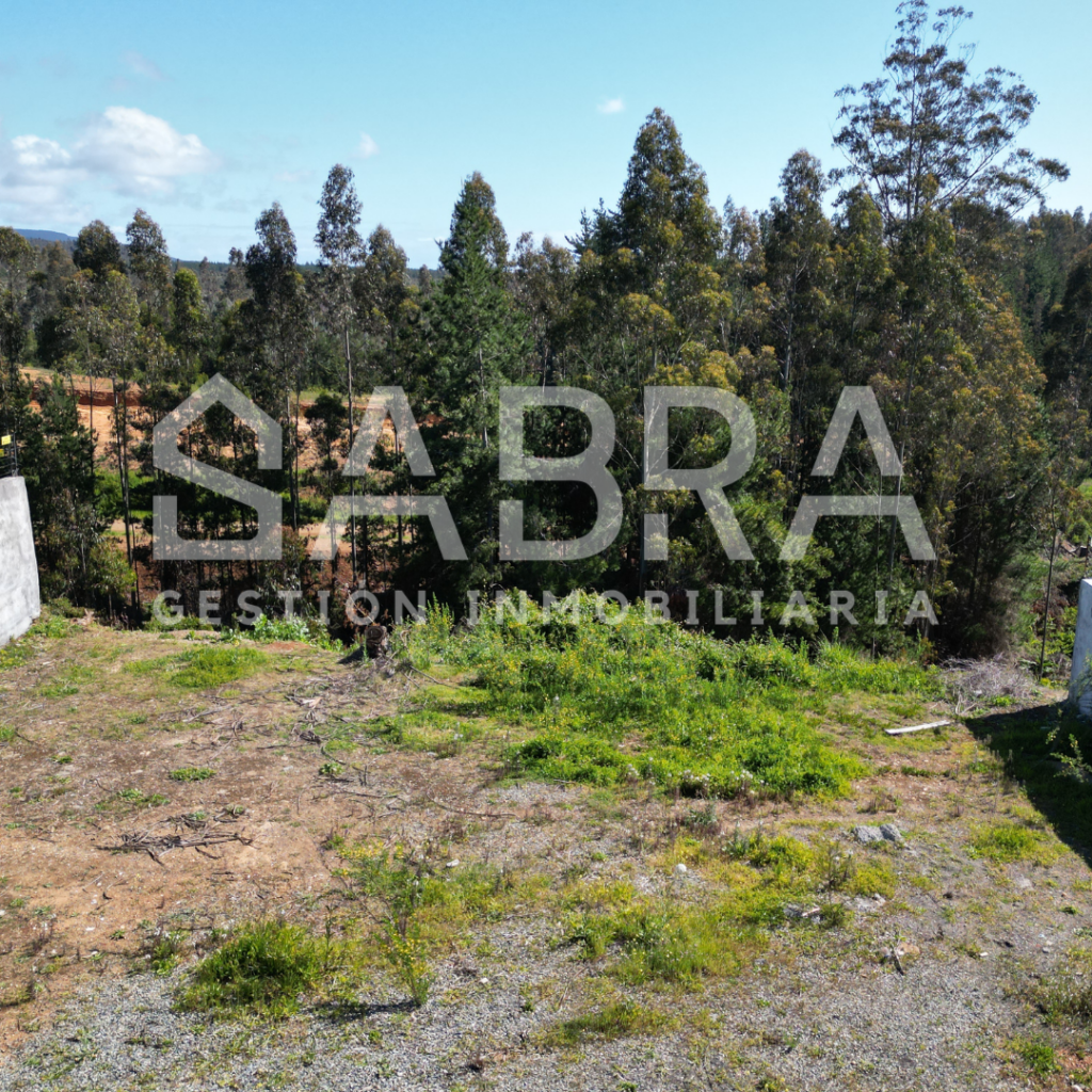 Terreno en El Venado