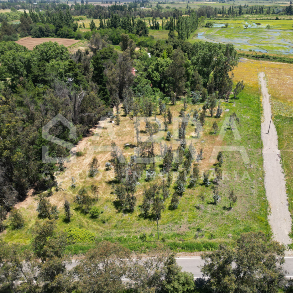 Terreno Parral