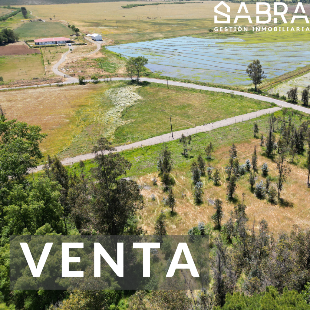 Terreno Parral